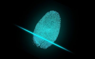 The Origin of Fingerprinting