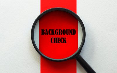 The Ultimate Guide to Employment Background Checks in 2025